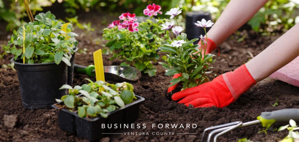 Plant Business